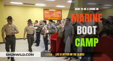 Mastering Marine Boot Camp: Essential Tips to Lead as a Guide