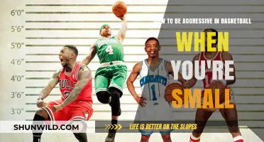 Small but Mighty: Unleashing Aggression in Basketball