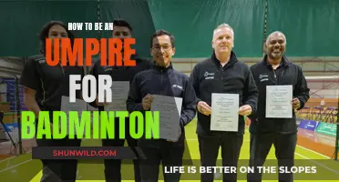 Becoming a Badminton Umpire: A Beginner's Guide