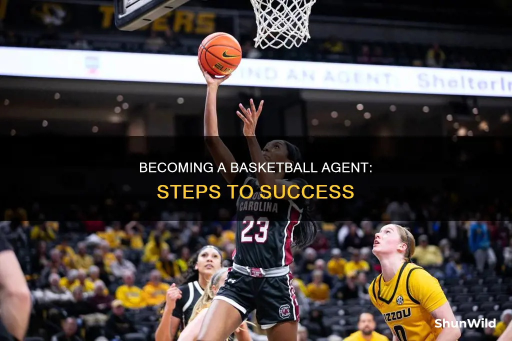 how to be basketball agent