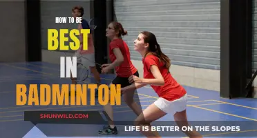 Badminton Mastery: Secrets to Success
