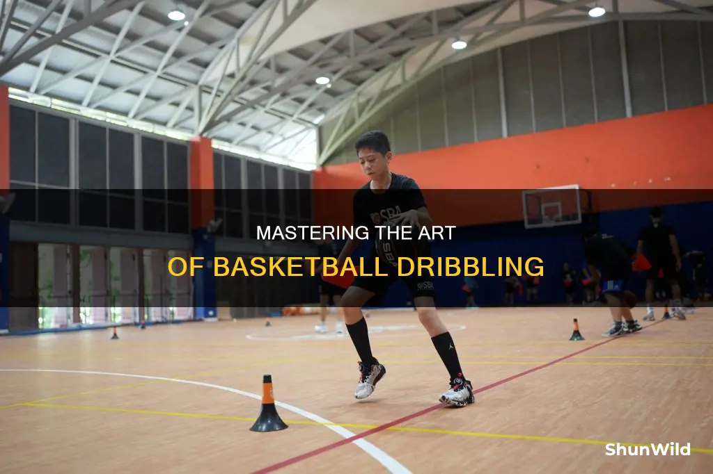 how to be expert basketball dribbler