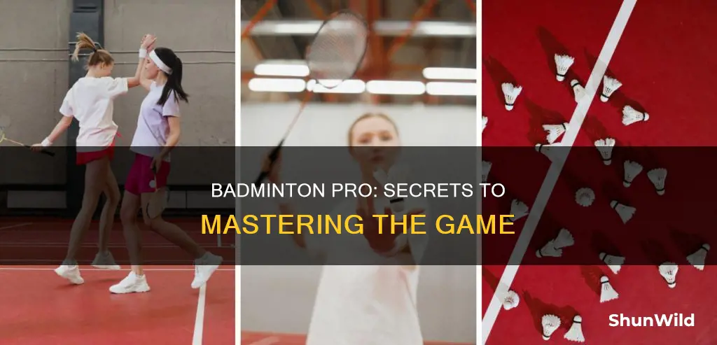 how to be pro in badminton