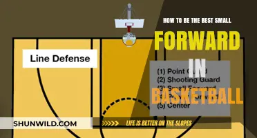Small Forward Secrets: Dominate the Basketball Court