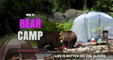 Essential Tips for Safe and Enjoyable Bear-Proof Camping Adventures