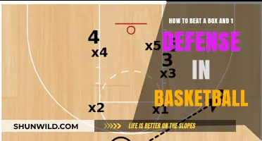 Dominating Box and 1 Defense: Strategies for Success