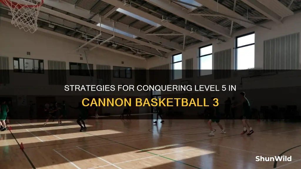 how to beat level 5 on cannon basketball 3