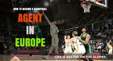 Becoming a Basketball Agent in Europe: A Step-by-Step Guide