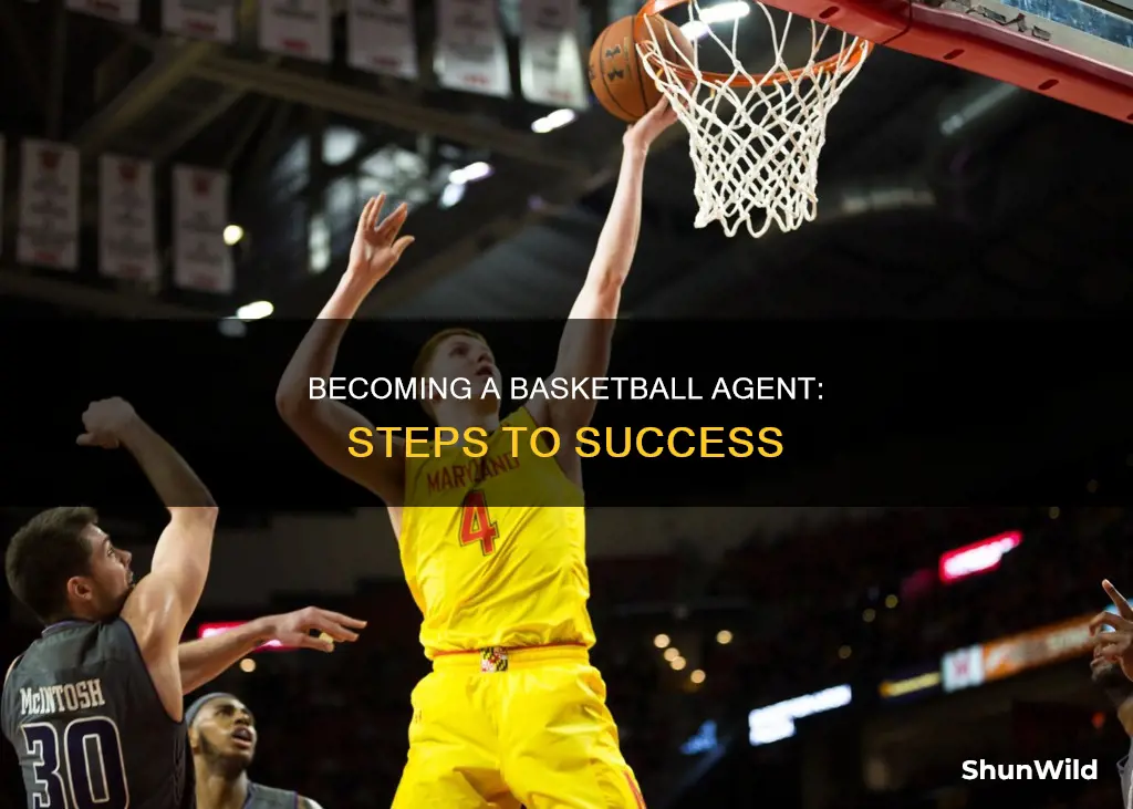 how to become a basketball agent