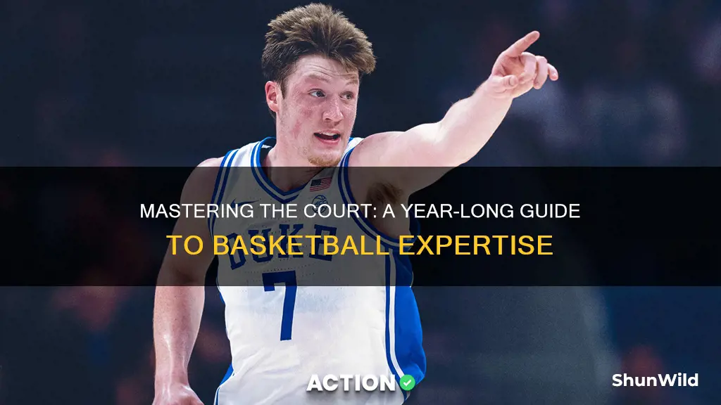 how to become a basketball expert in a year