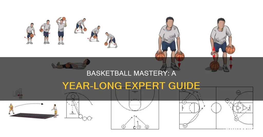 how to become a basketball expert in a year