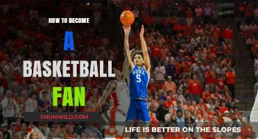Get Started on Your Journey to Becoming a Basketball Fan