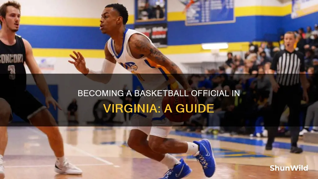 how to become a basketball official in virginia