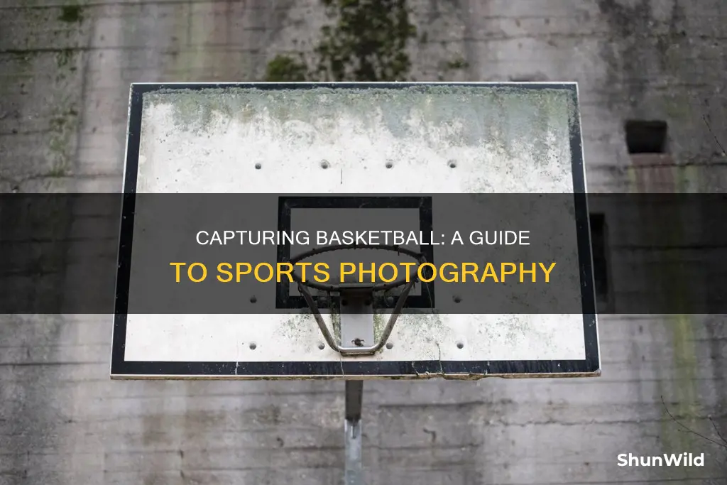 how to become a basketball photographer