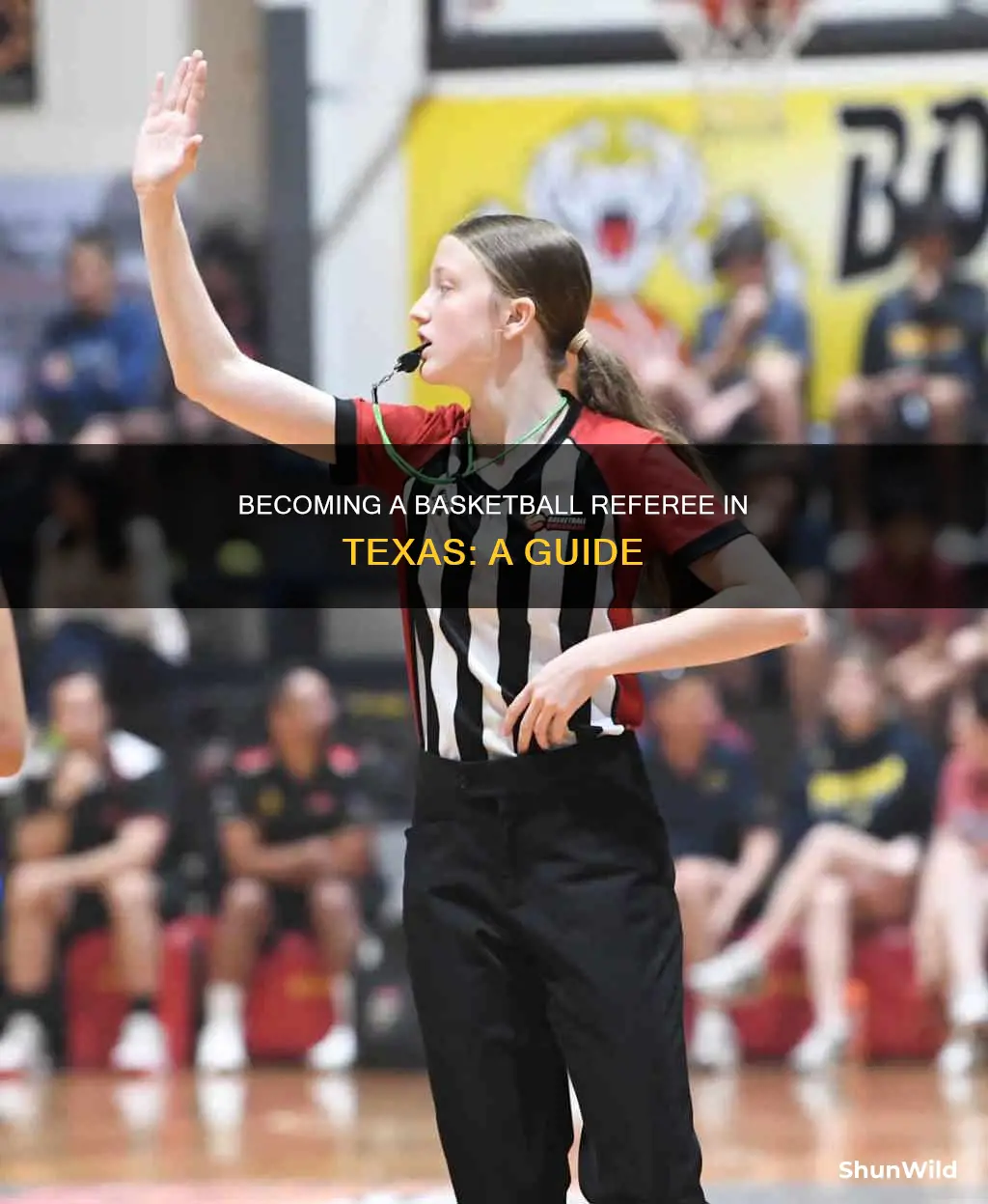 how to become a basketball ref in texas
