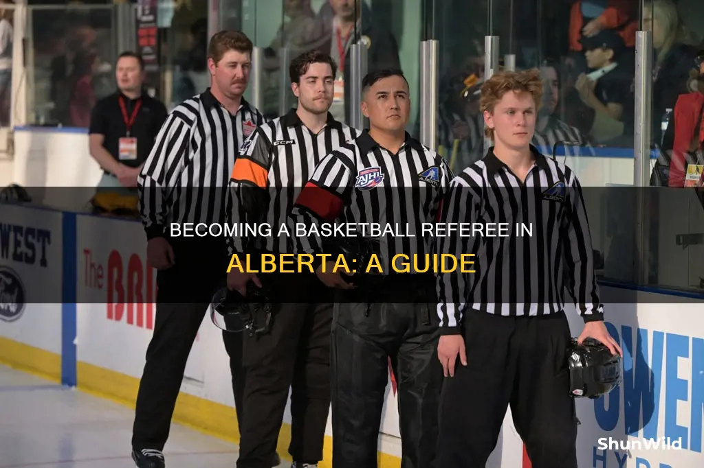 how to become a basketball referee in alberta