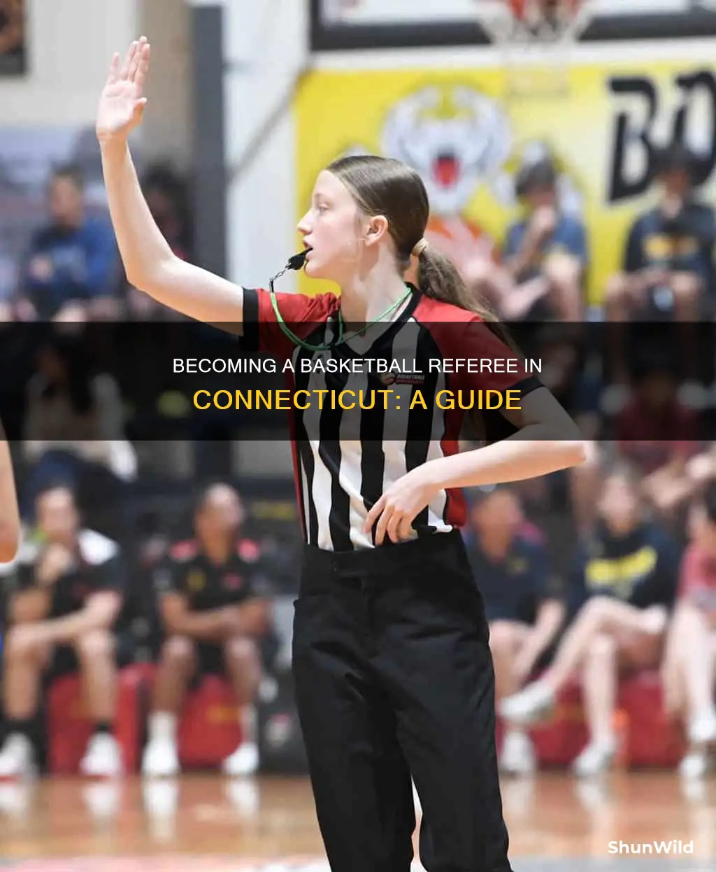 how to become a basketball referee in ct