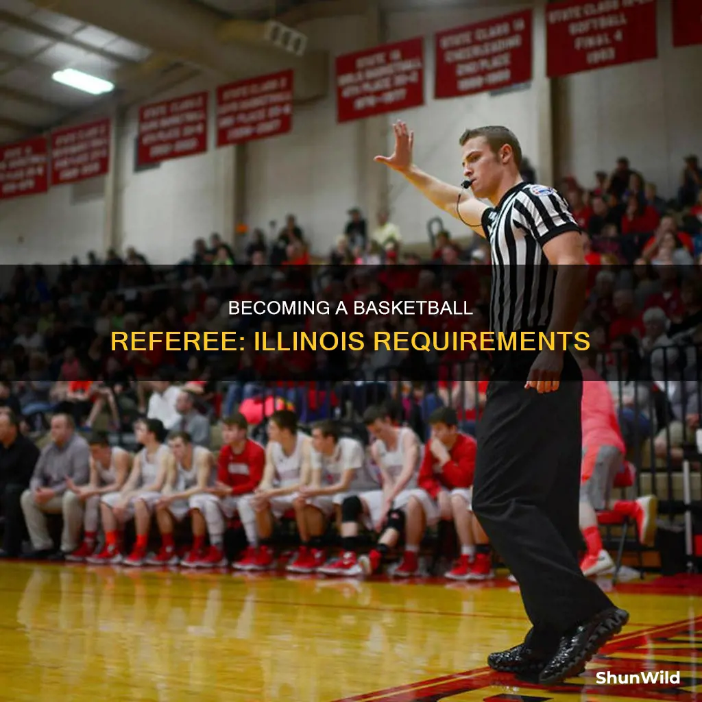 how to become a basketball referee in illinois