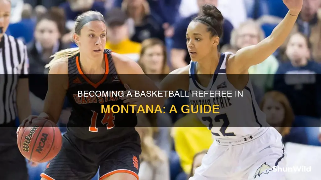 how to become a basketball referee in montana
