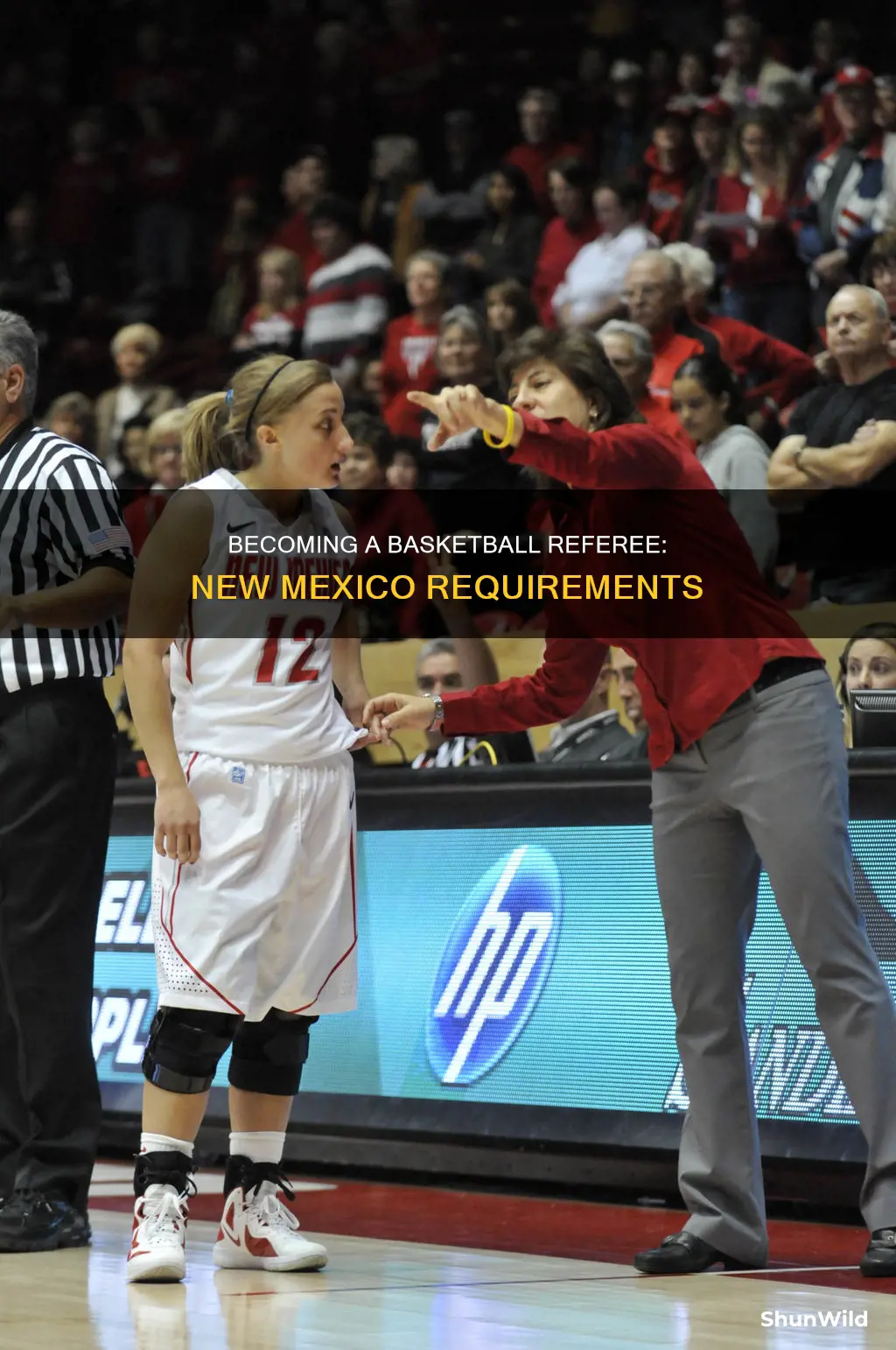 how to become a basketball referee in new mexico