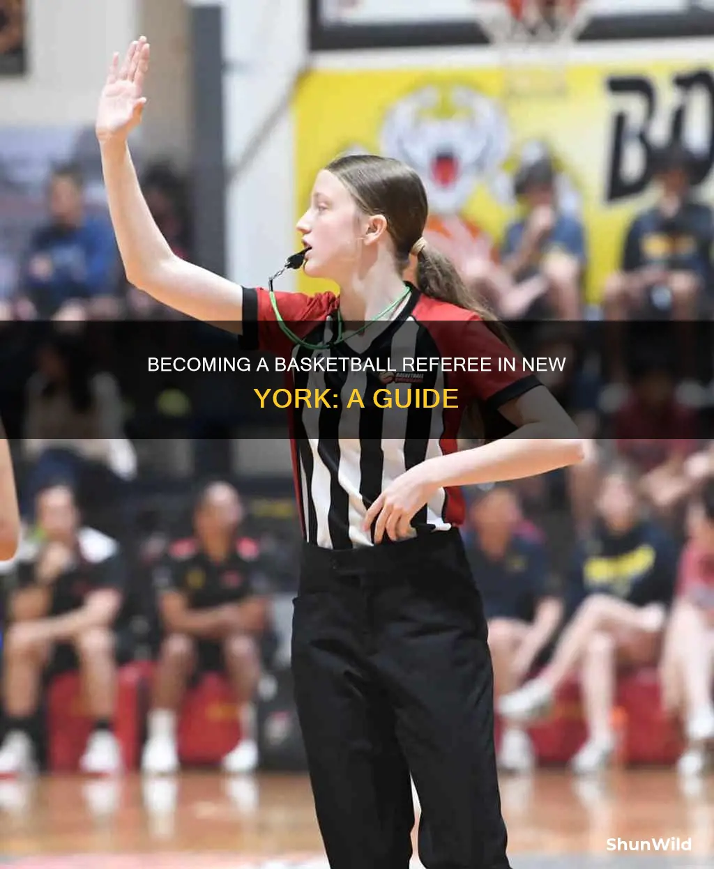 how to become a basketball referee in ny