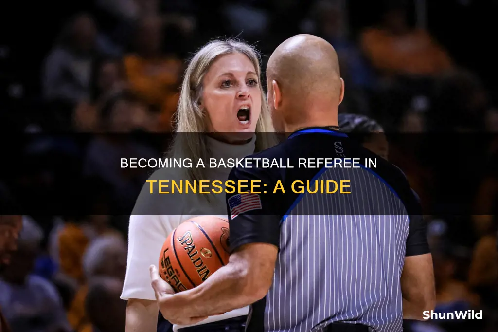 how to become a basketball referee in tennessee