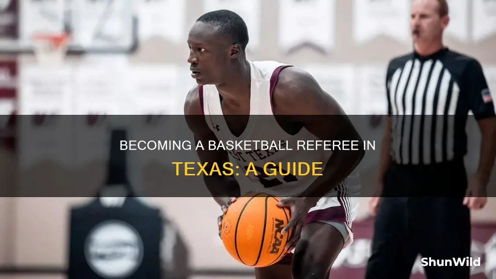 how to become a basketball referee in texas