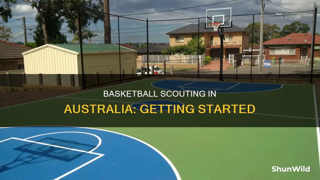 how to become a basketball scout australia