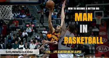 Mastering the Paint: Strategies for Dominant Big Men