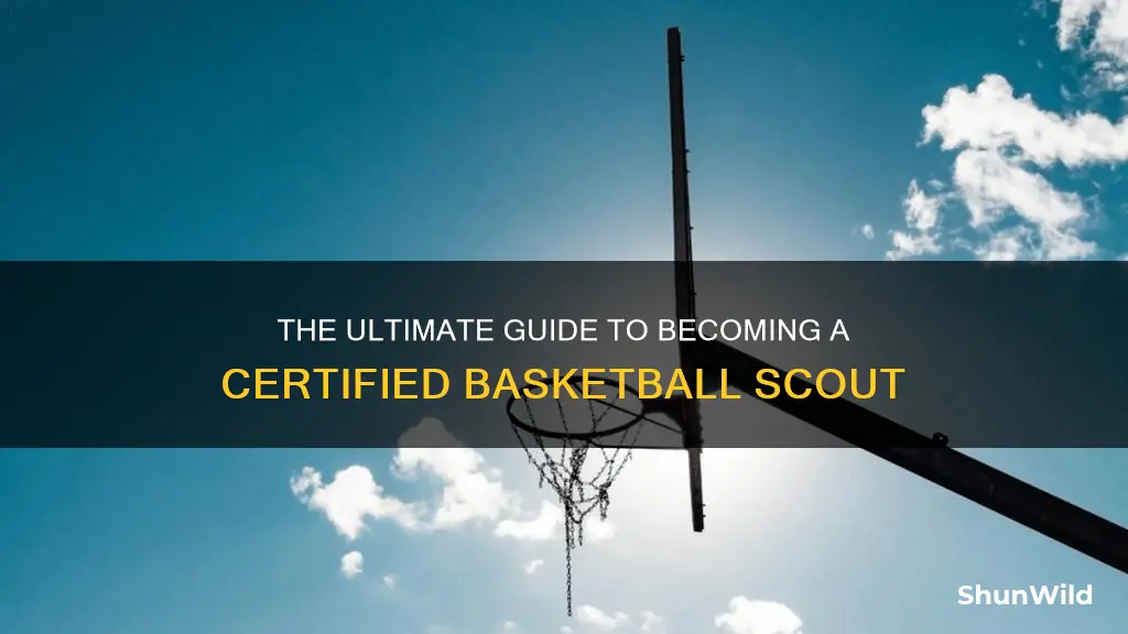 how to become a certified basketball scout