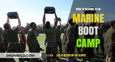 Mastering Marine Boot Camp: Strategies to Achieve E-2 Rank Quickly