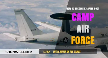 Mastering Air Force E-3 Rank: Post-Boot Camp Strategies for Success