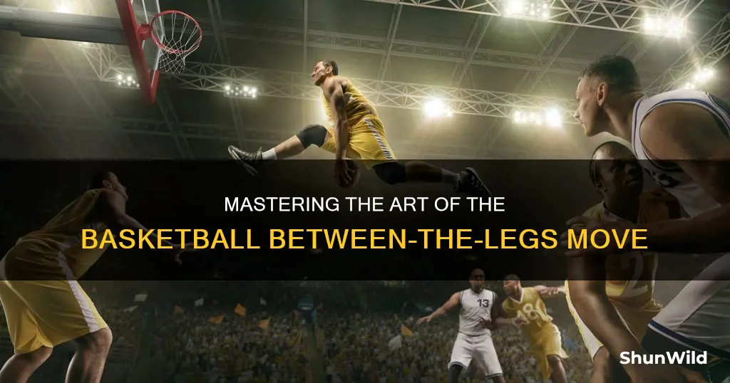 how to between the legs basketball move