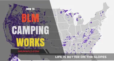 Understanding BLM Camping: A Beginner's Guide to Bureau of Land Management Sites