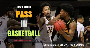 Blocking Passes: Basketball Defense Basics