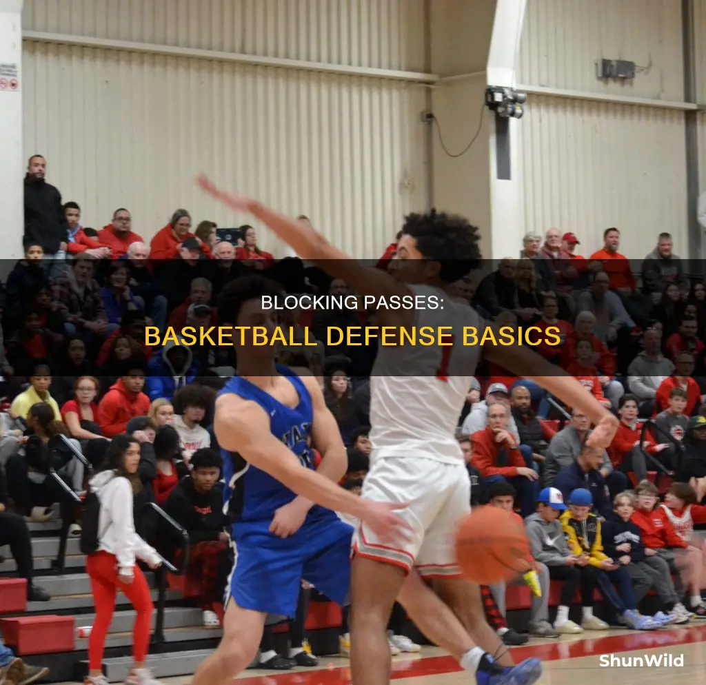 how to block a pass in basketball