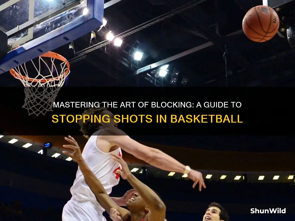 how to block a shot in head basketball