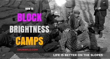 Effective Strategies to Block Brightness Camps and Protect Your Privacy