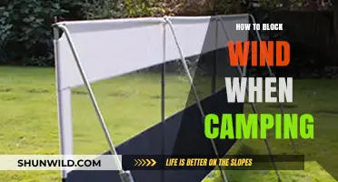 Mastering the Elements: A Camper's Guide to Wind Protection