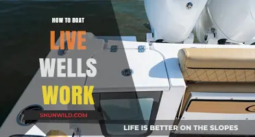 Mastering Live Wells: A Guide to Boat Fish Storage