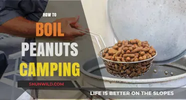 Camping Snack Guide: Mastering the Art of Boiling Peanuts Outdoors