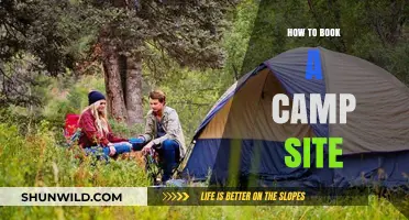 Essential Tips for Booking Your Perfect Campsite Getaway