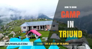 Essential Guide to Booking Your Triund Camp Adventure
