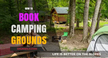 Essential Tips for Booking the Perfect Camping Grounds Easily