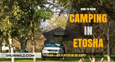 Exploring Etosha: Your Ultimate Guide to Booking the Perfect Camping Adventure