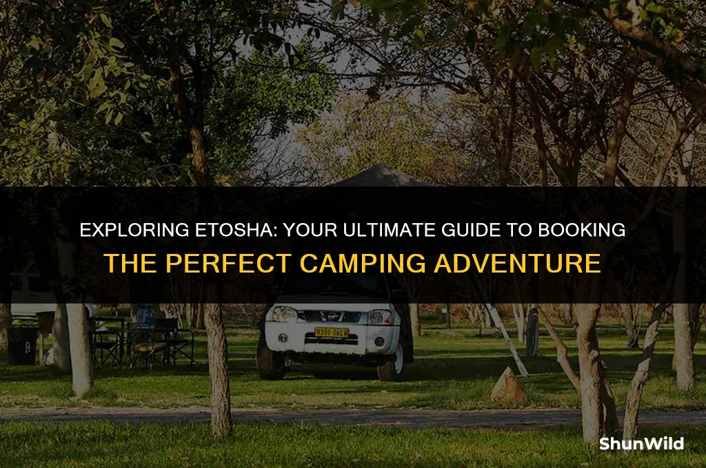 how to book camping in etosha