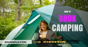Ultimate Guide to Booking the Perfect Camping Trip Effortlessly