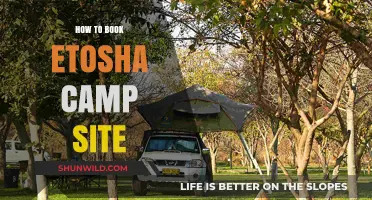Exploring Etosha: A Guide to Booking Your Ideal Campsite