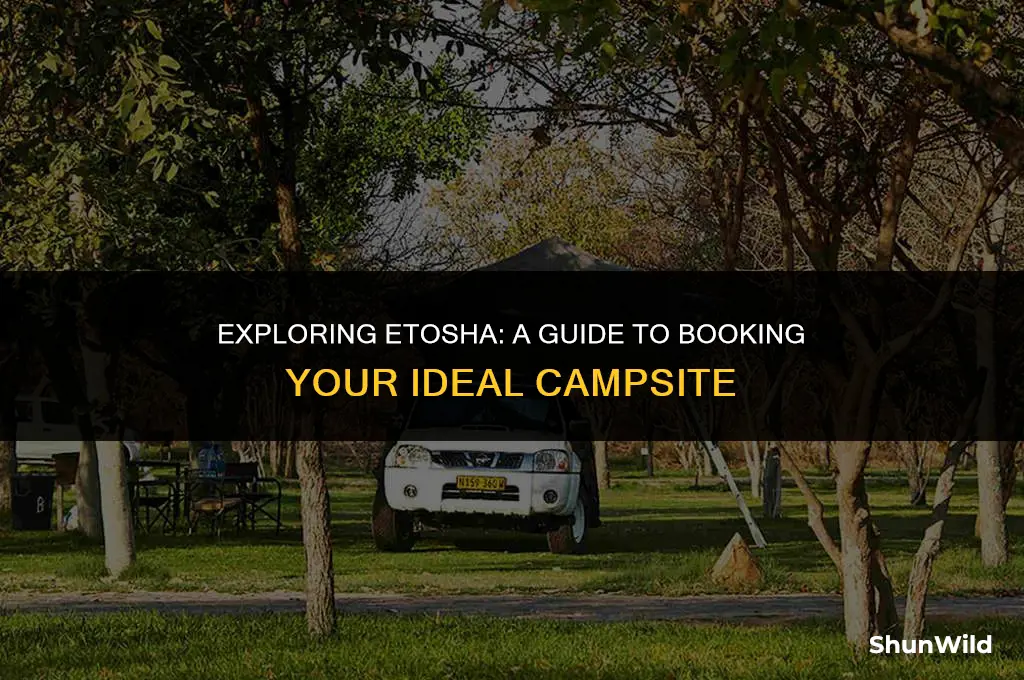 how to book etosha camp site