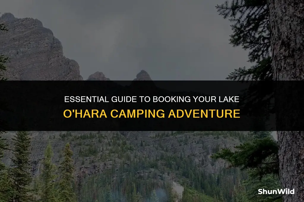 how to book lake ohara camping